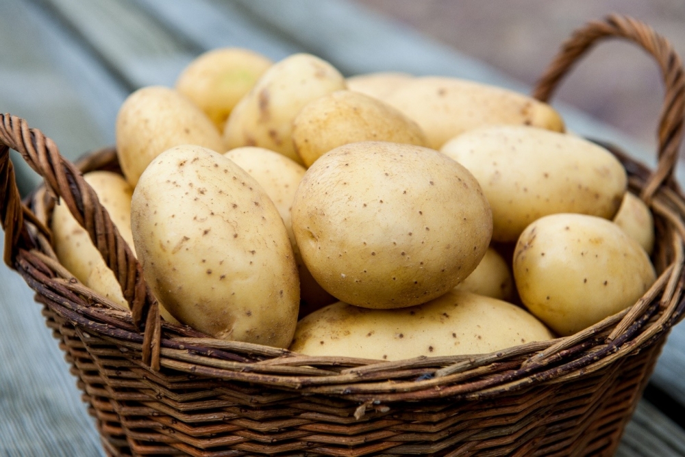 Чем обусловлена пищевая ценность картофеля?