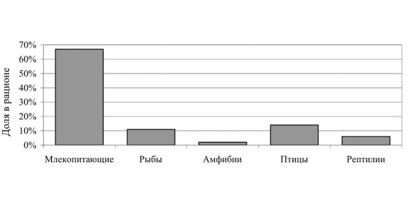 На диаграмме представлены позвоночные животные, составляющие пищевой рацион животного Z. На основе анализа представленных данных животное Z можно отнести к...