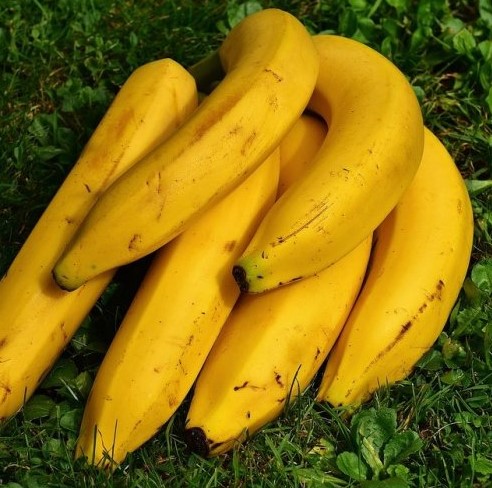 Как называются овощные сорта бананов, которые перед употреблением требуют термической обработки?