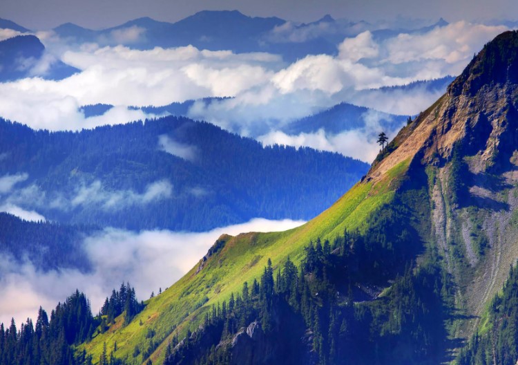 Каков коэффициент смертности восхождений на Чогори (на июнь 2018)?