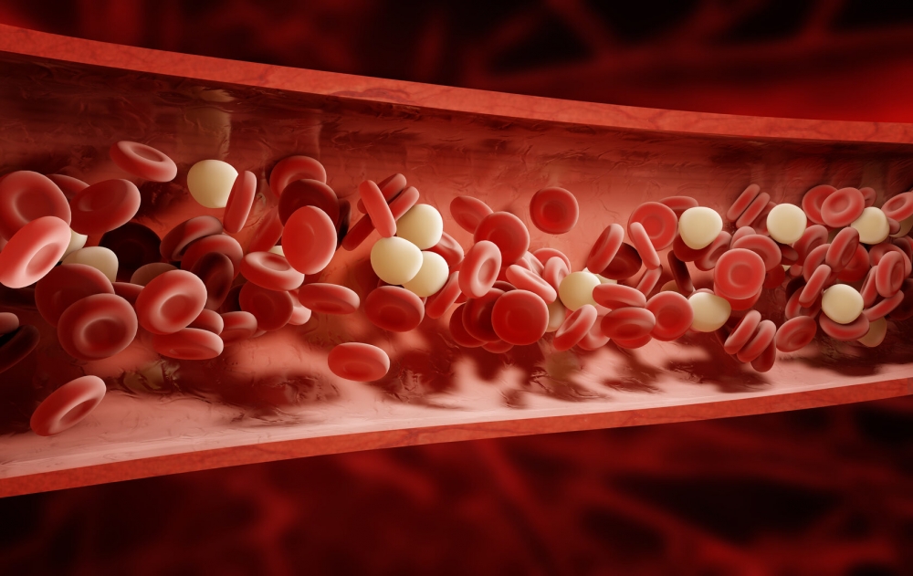 К чему может привести снижение содержания эритроцитов и гемоглобина в крови?