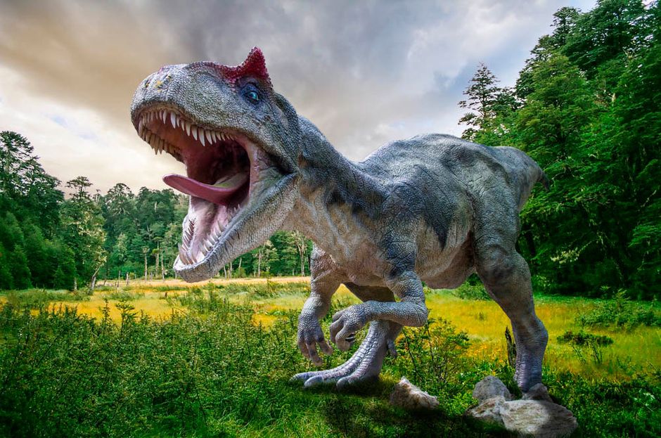 Какие из перечисленных динозавров обладали социальным поведением?