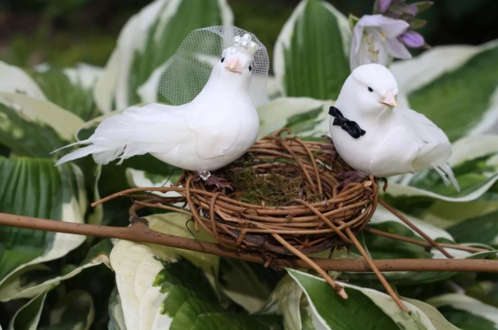 Почему раньше 14 февраля называли птичьей свадьбой?