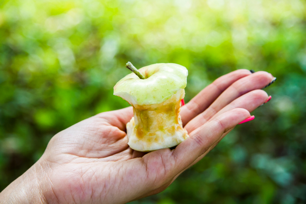 Как долго разлагается яблочный огрызок?
