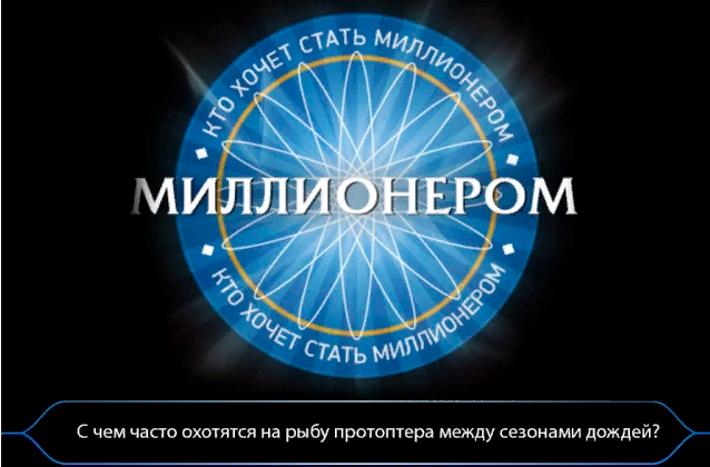 Ответьте на вопрос