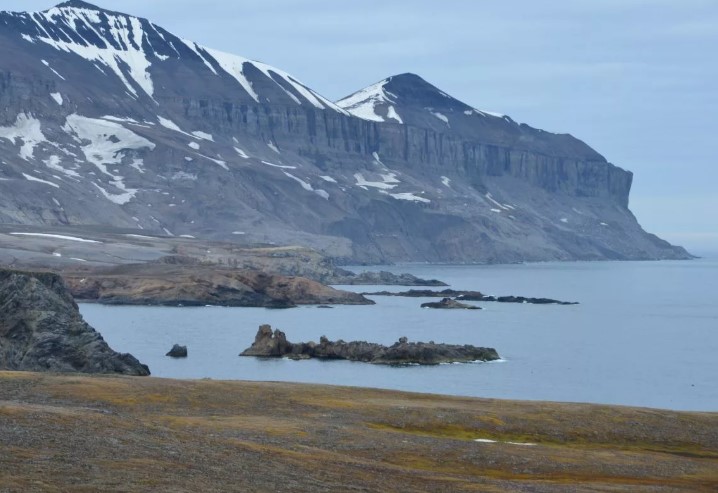 Сколько островов входит в группу Медвежьи острова?