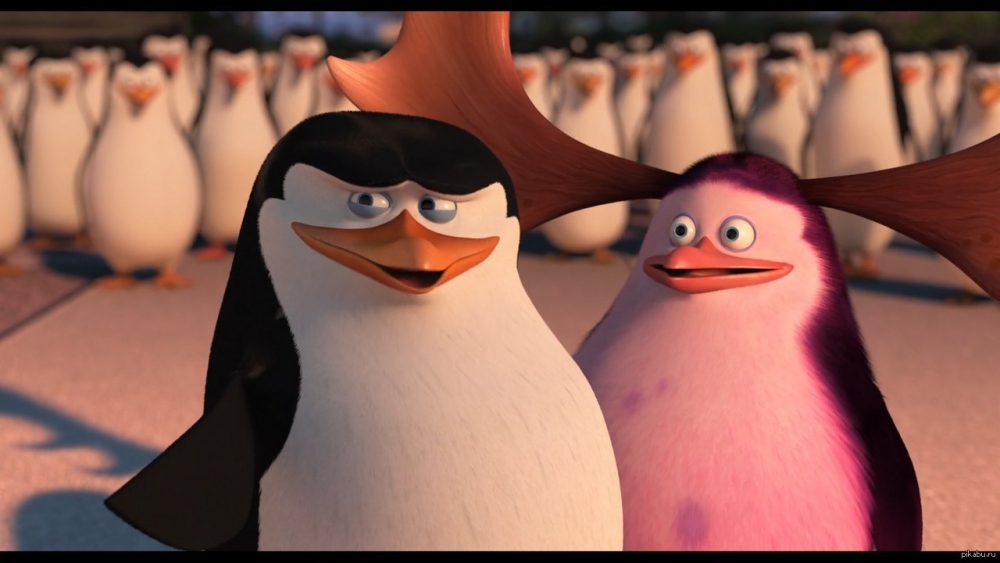 Как звали командира пингвинов?