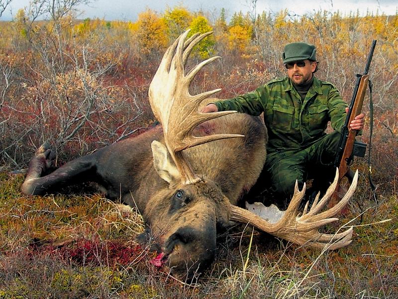 При фотографировании с добытым лосем вы согласно охотничьего этикета?