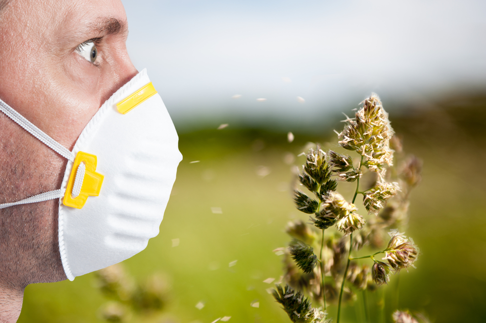 Воздействие пыльцы деревьев как аллергенов усиливается: