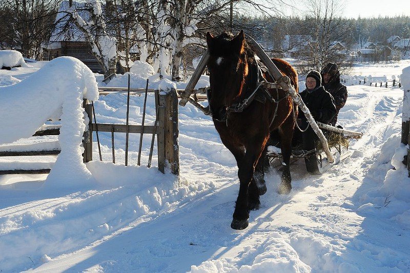 14.	Осень богата хлебом, ну а зима 