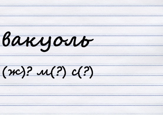 Какого рода существительное?