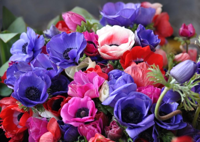 Какой цветок имеет мужской и женский род одновременно?