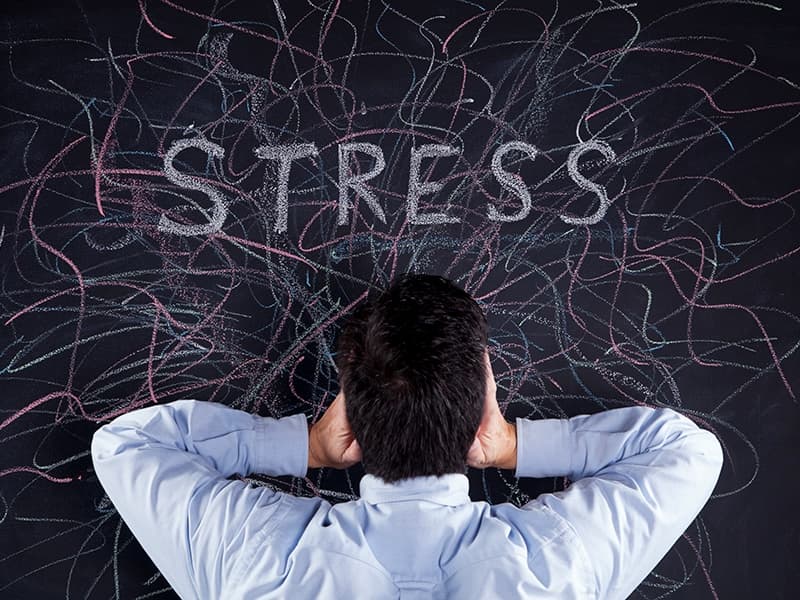 Стресс вызывает ___ всех систем организма и оказывает большое влияние на поведение и работоспособность человека