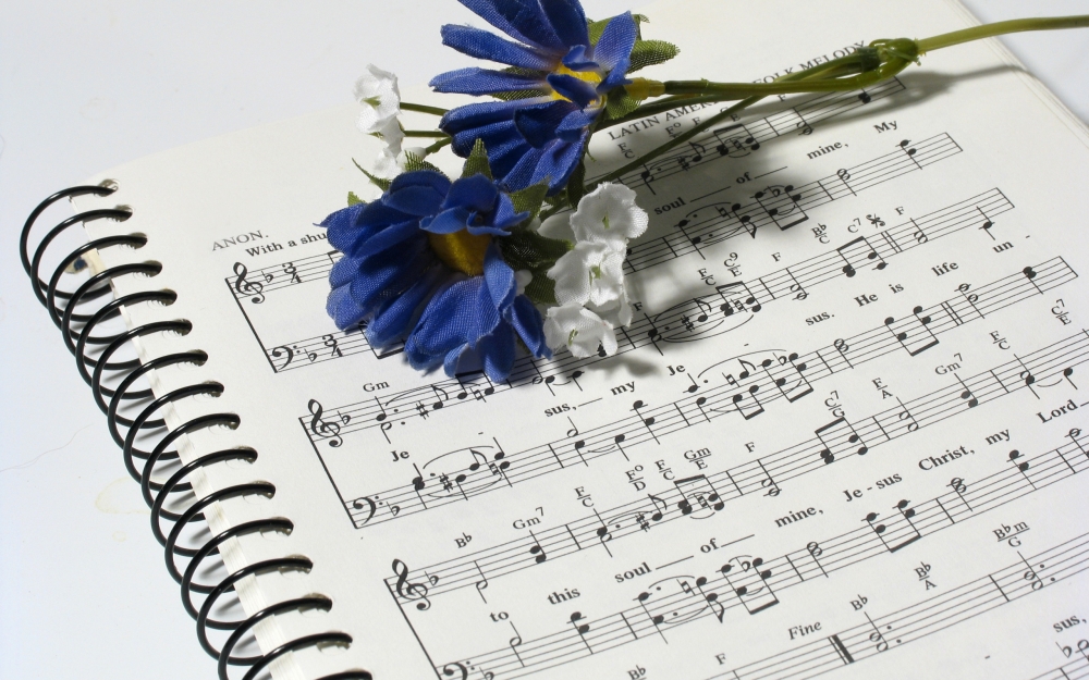Какие цветы замёрзли в пруду в песне Александра Айвазова?