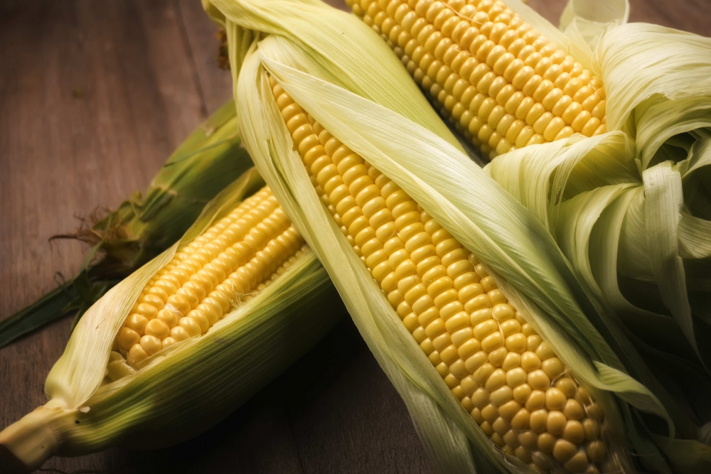 Какую страну можно назвать лидером по выращиванию кукурузы? 