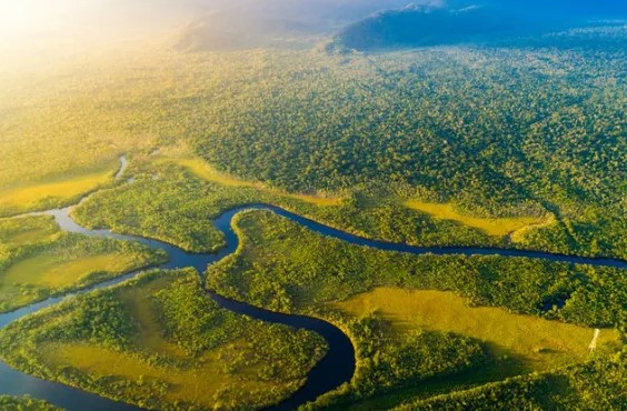 Какая река - самая длинная в мире?