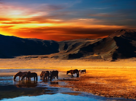 Как пишется название столицы Монголии?