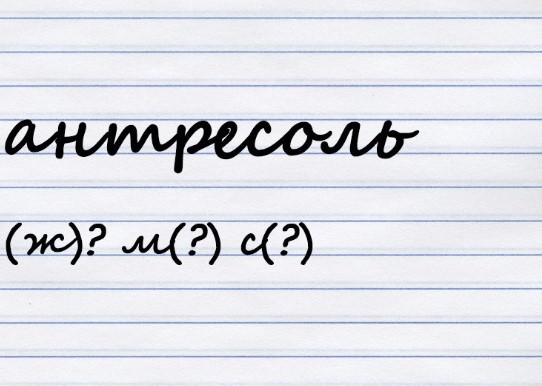 Какого рода существительное?