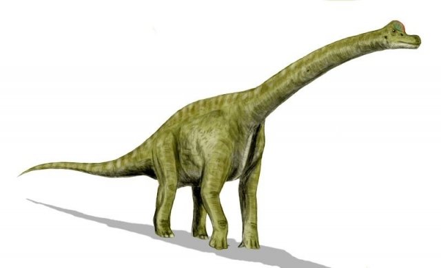 Какой динозавр изображен на рисунке?