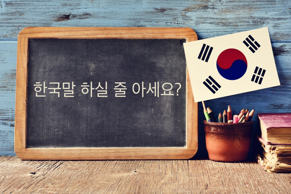 Переведите предложение на русский язык: 여자가 러시아에 돌아왔어요.