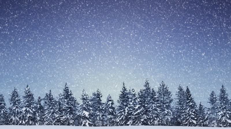 Распространенная зимняя забава в Канаде и некоторых штатах США: создание отпечатков на свежем нетронутом снегу. Как она называется?