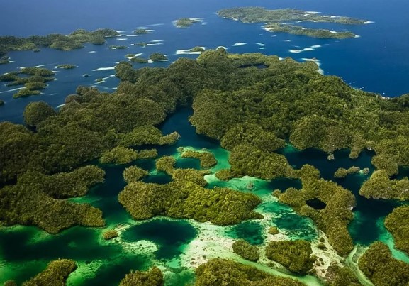 На островах какого архипелага после обретения независимости от США образовалось два государства: Федеративные Штаты Микронезии и Палау?