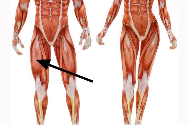 Как называется эта мышца?