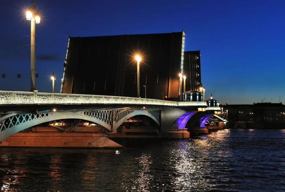 Из чего сделан Троицкий мост?