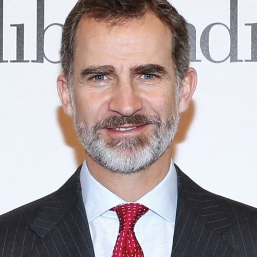 Филипп VI, бывший принц Астурийский, Жиронский и Вианский — это король ...