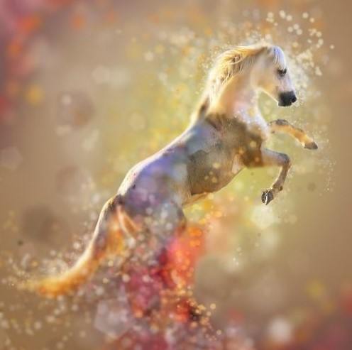 Как звали братьев Ивана-дурака в сказке Ершова «Конёк-Горбунок»?