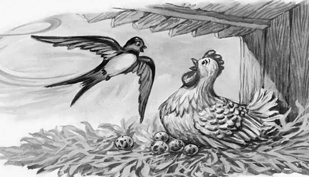 Чьи яйца нашла Курица в басне «Курица и Ласточка»?