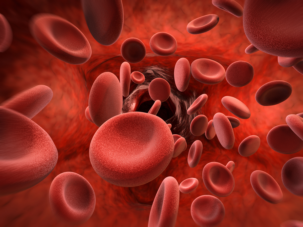 Что насчет красных клеток крови? Как они называются?