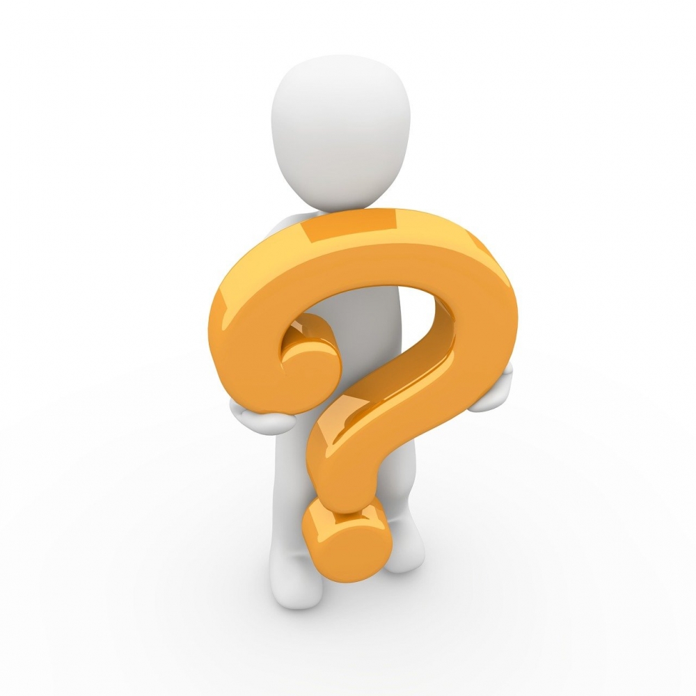 Из-за чего зеленеют белые медведи в зоопарках?
