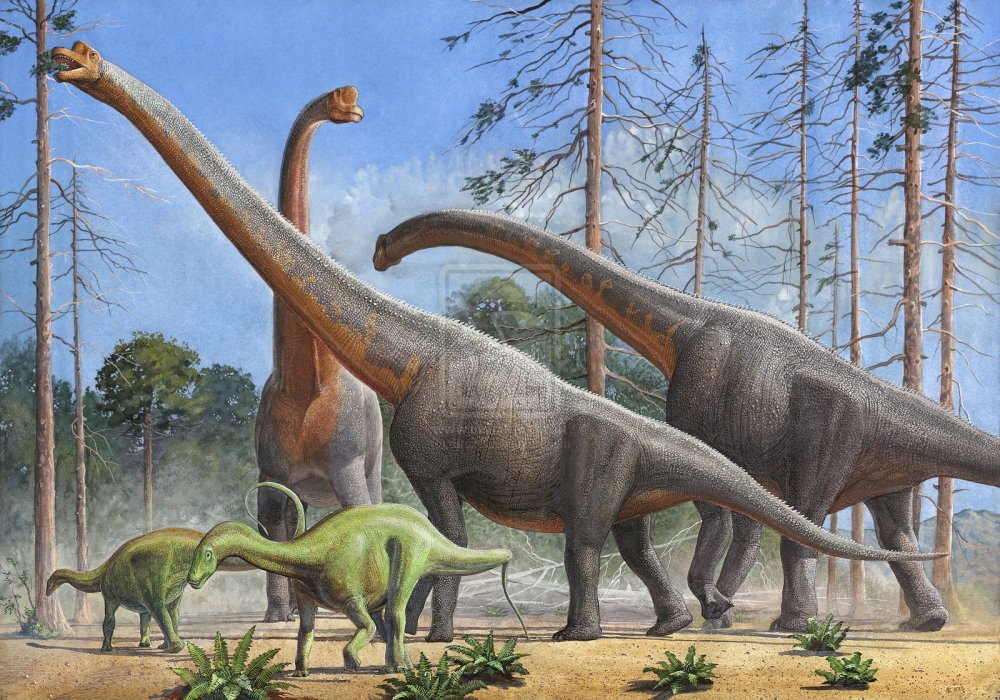 В какую эру динозавры доминировали на Земле?