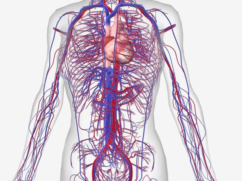 Как определить артериальное кровотечение?