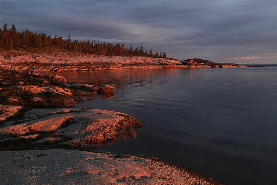 Какие реки впадают в Белое море?