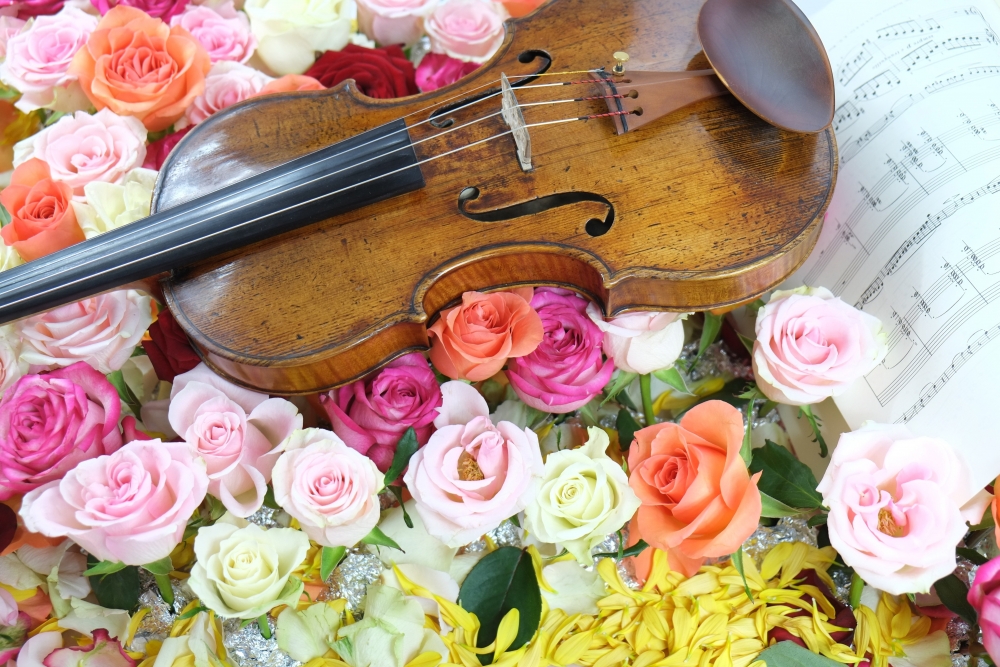  Какие цветы — вестники разлуки упоминаются в известной песне в исполнении Наташи Королёвой?