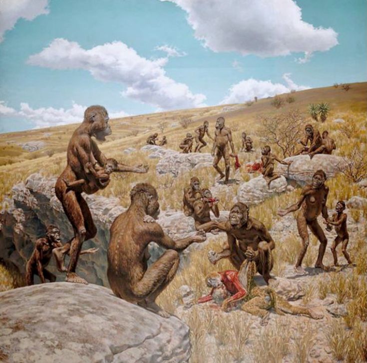 Кроманьонцы первыми из предков современных людей научились