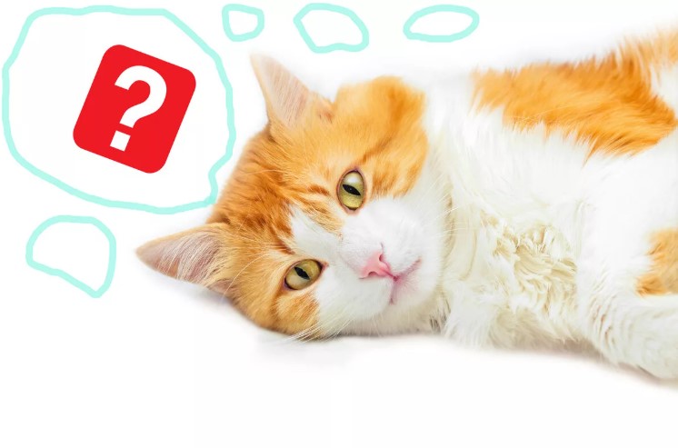 Для чего служит окончание слова?