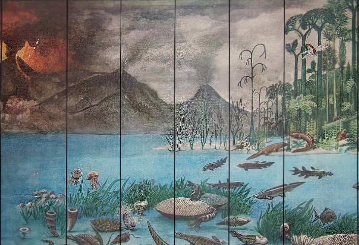 Наличие у человека живорождения и выкармливания детенышей молоком свидетельствует: