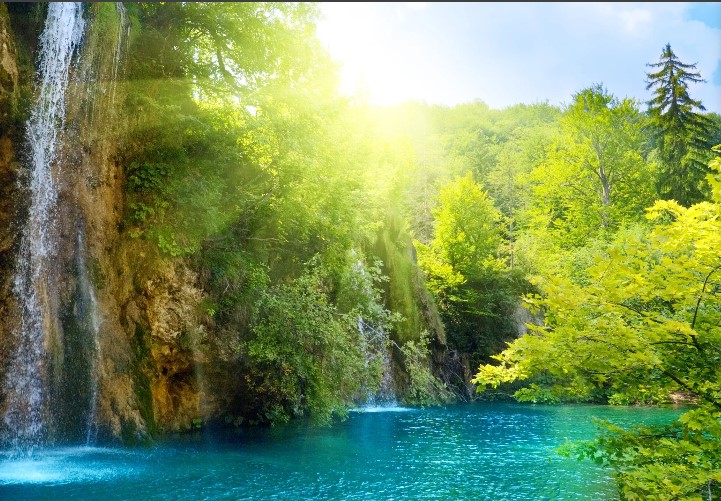 Эволюция – это …