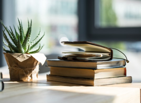 Какая из перечисленных книг относится к жанру утопии?