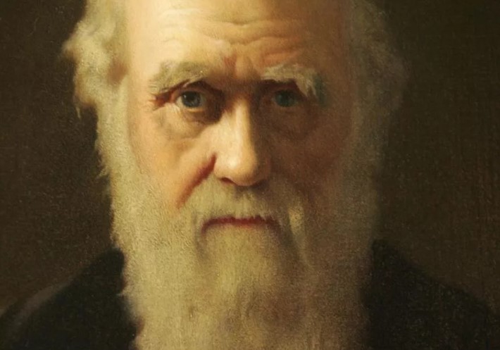 В основе всех эволюционных процессов лежит закон