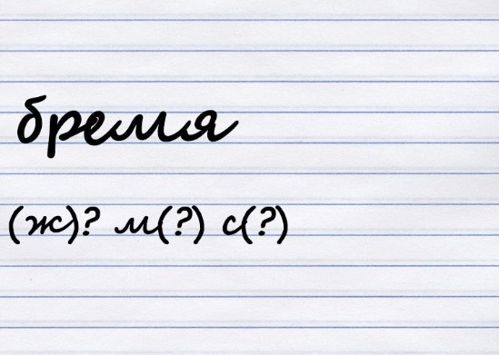 Какого рода существительное?