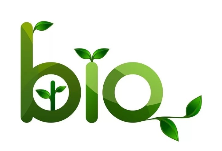 Какое животное НЕ относится к головоногим моллюскам?