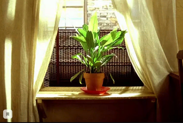 Из какого фильма эта вещь?