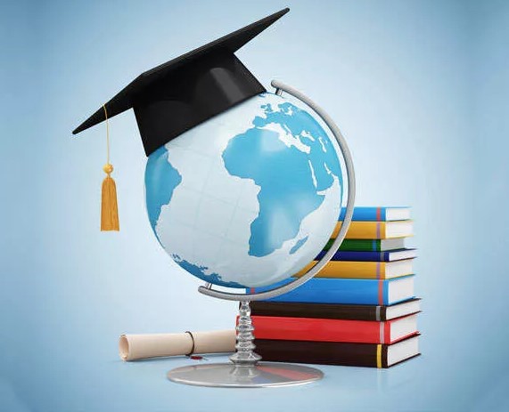 Какую форму имеют зрачки овцы?