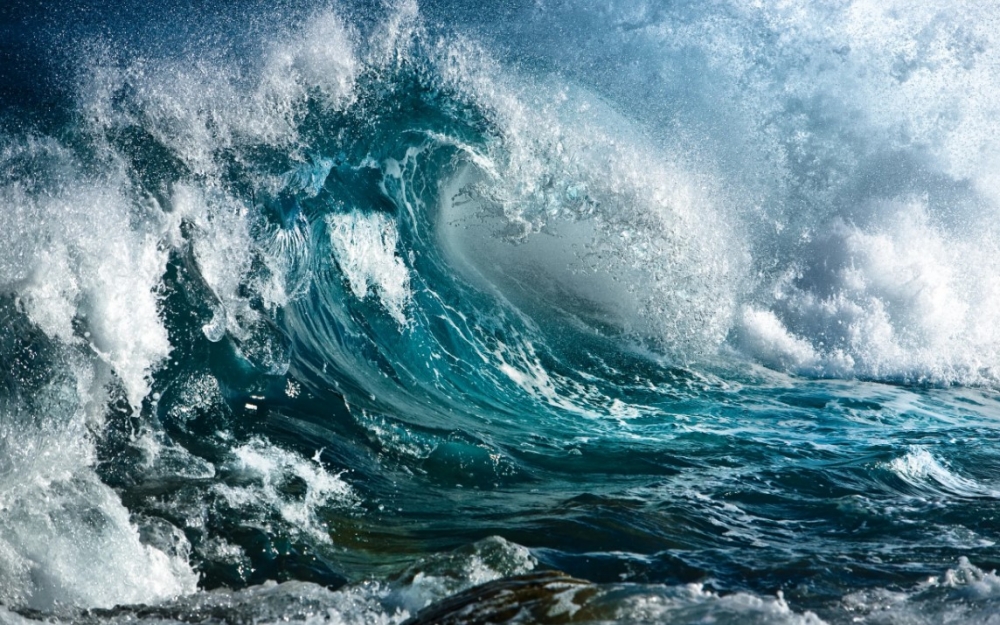 Что окрашивает воды Жёлтого моря в жёлтый цвет?