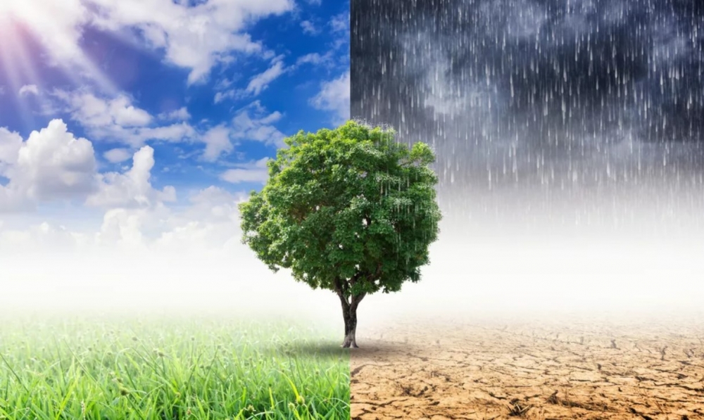 На климат России круглый год воздействует