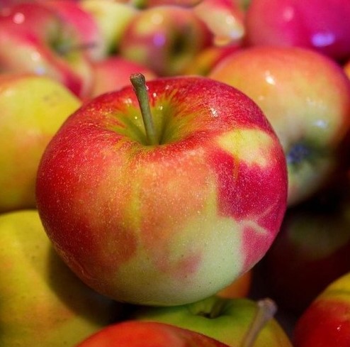 Какое ядовитое вещество содержится в яблочных семенах?